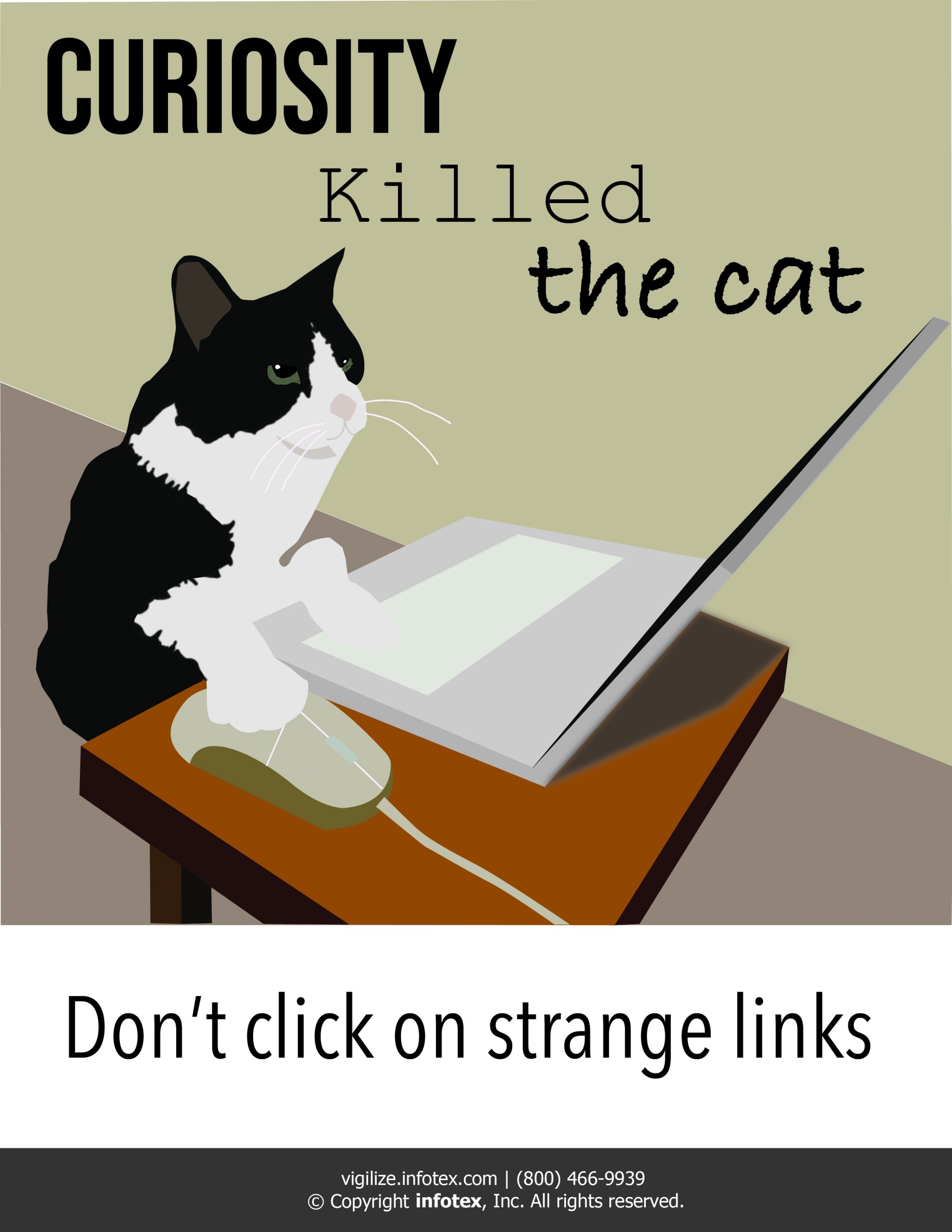 cartoon cat using computer;